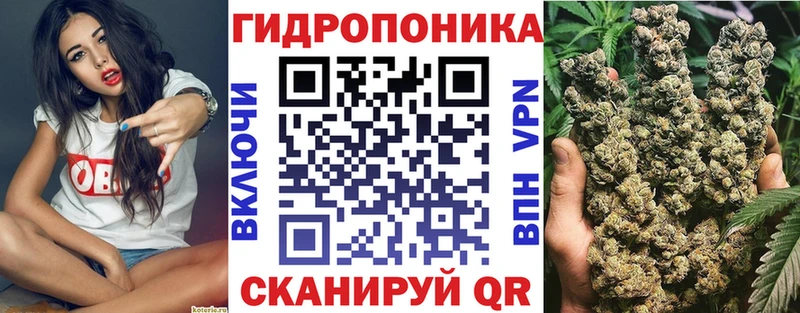 Бошки Шишки сатива  кракен зеркало  Кстово 
